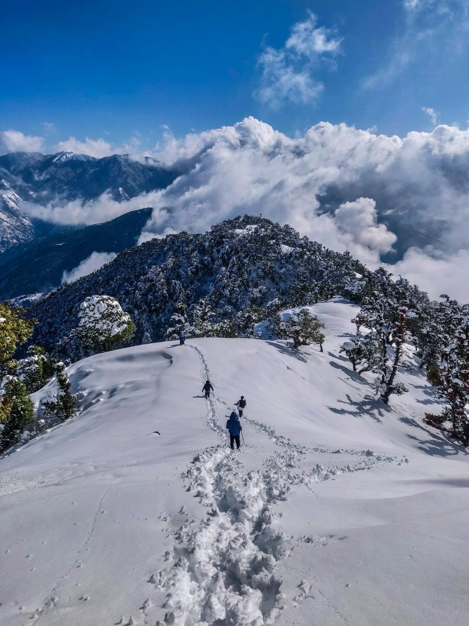 Trekkers on a snowy ridge in Himachal Pradesh