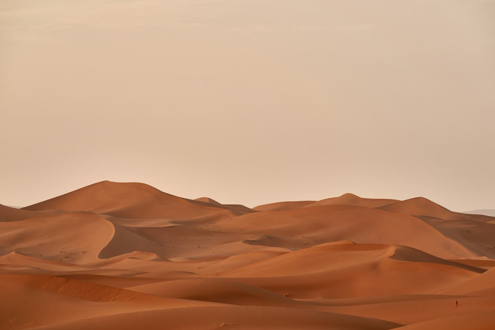 Golden sand dunes of the Thar Desert near Jaisalmer