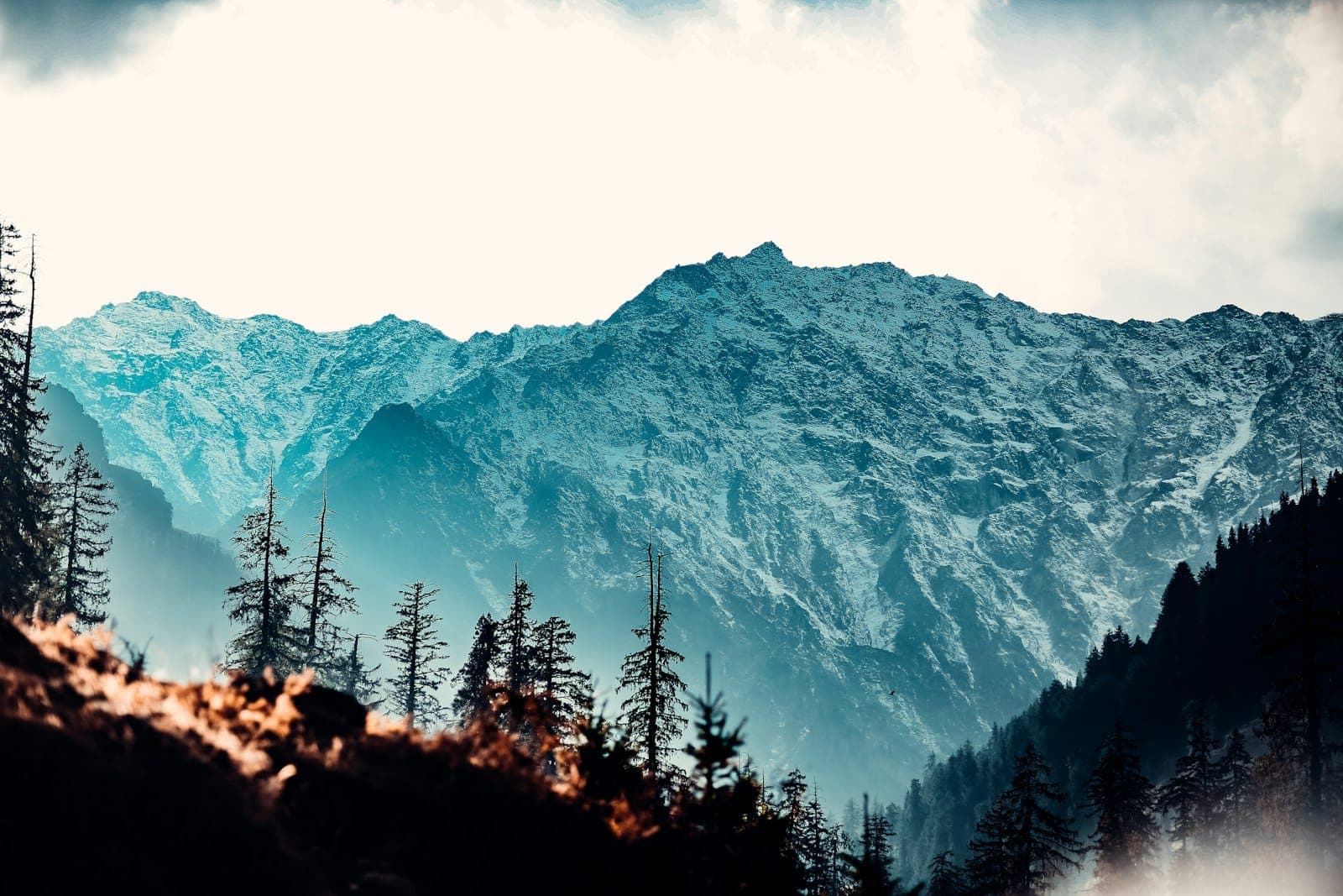 Snow-capped peaks and pine forests near Manali